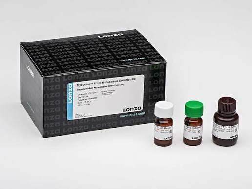 2X PCR SUPERMIX (+DYE) - 1ml - GENEXPLORE