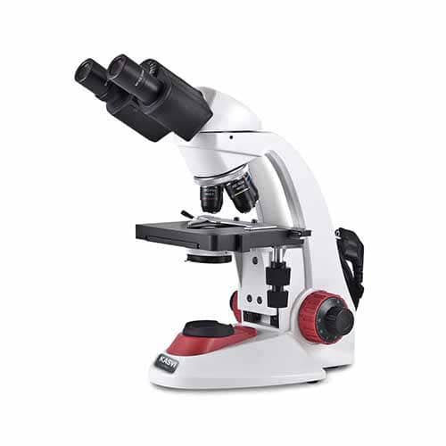 Microscópio Biológico Binocular – Kasvi