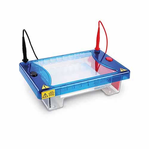 Cuba de Eletroforese Horizontal – Kasvi