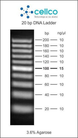 Marcadores de Massa Molecular (DNA ladder) – Cellco