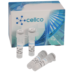 dNTPs – Cellco