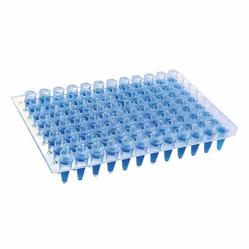 Microplaca de PCR com Poços Elevados (sem borda) – Kasvi
