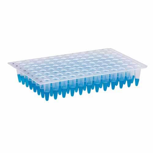 Microplaca de PCR 96 poços (sem borda) – Kasvi