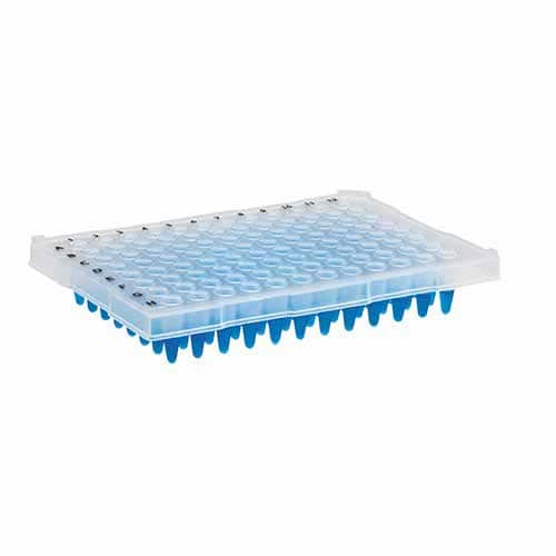 Microplaca de PCR 96 poços (meia borda) – Kasvi