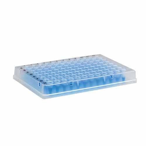Microplaca de PCR 96 poços (com borda) – Kasvi
