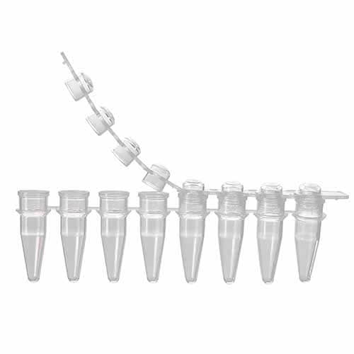 Microtubos PCR 200 µl, em tiras 8x – Kasvi