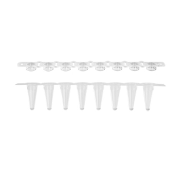 Tira de 8 microtubos para Real Time PCR de 100 µL – Axygen