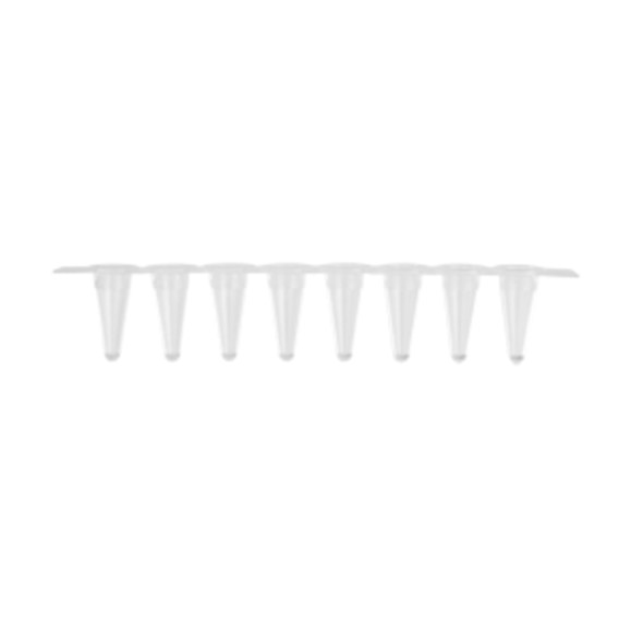 Tira de 8 microtubos para PCR de 100 µL (sem tampa) – Axygen
