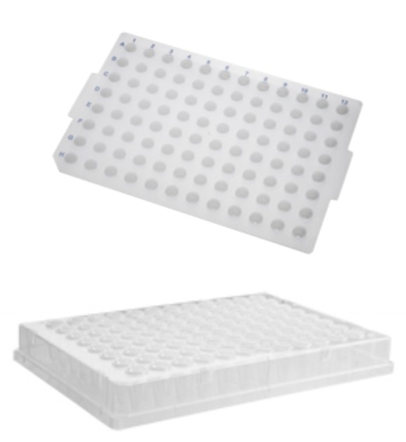 Placa para PCR 96 poços 200 µL (borda inteira) – Axygen