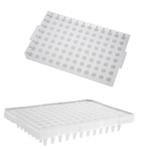 Placa para PCR 96 poços 200 µL (borda alta) – Axygen
