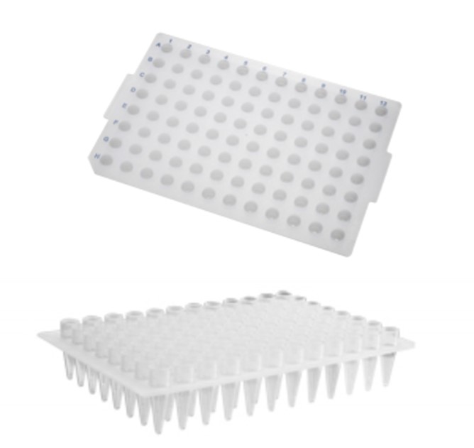 Placa para PCR 96 poços 200 µL (poços elevados) – Axygen