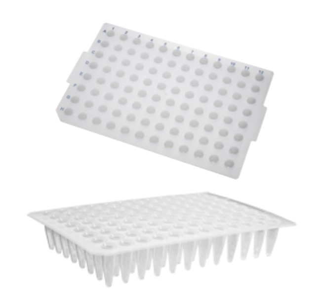 Placa para PCR 96 poços 200 µL (sem borda) – Axygen