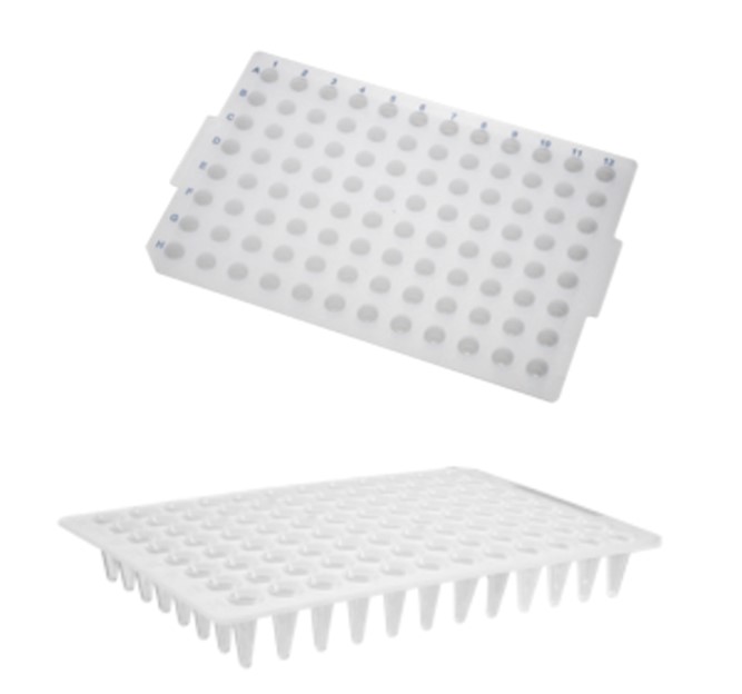 Placa para PCR 96 poços 100 µL (sem borda) – Axygen