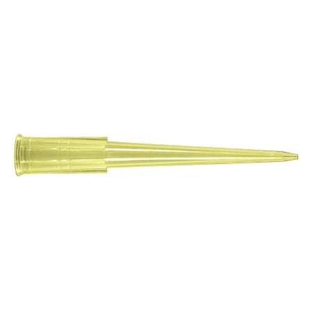 Ponteira 200 µL – Axygen